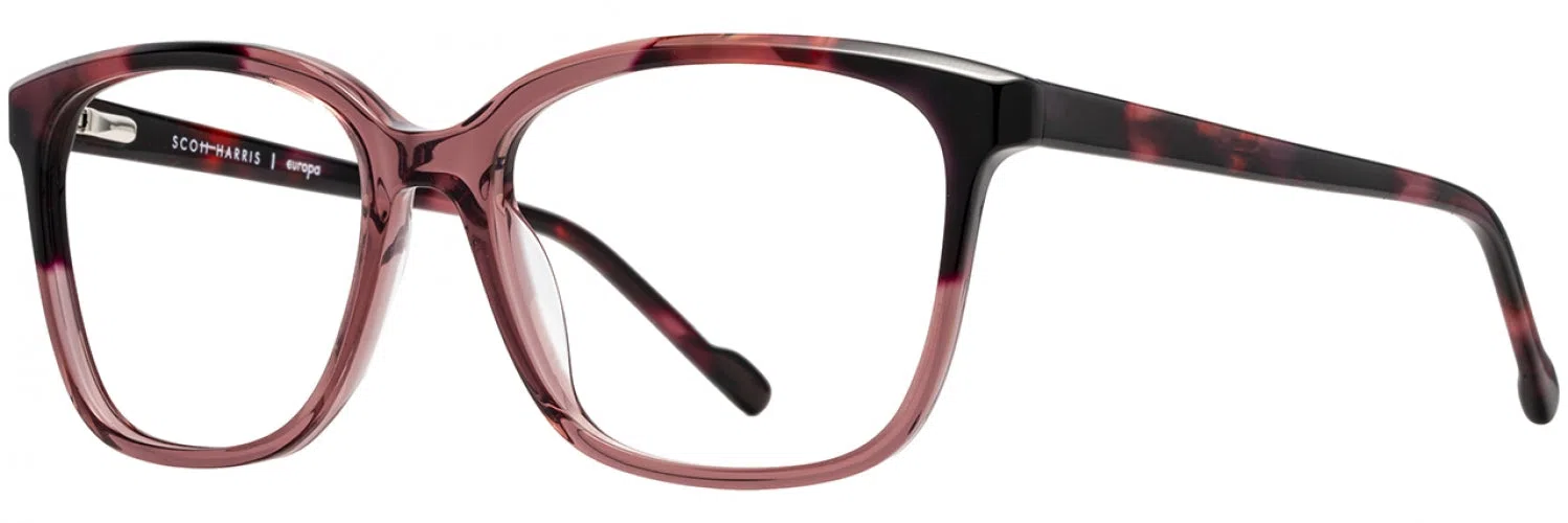 Scott Harris SH1002 Eyeglasses - view 3